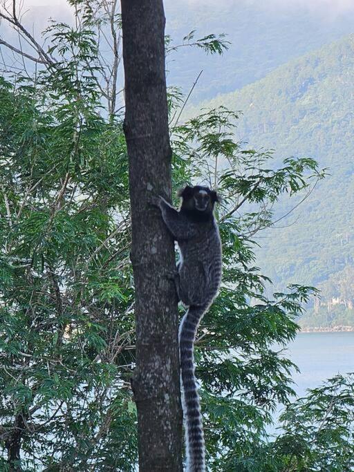 Nosso Mar Hotel Florianopolis Luaran gambar